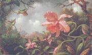 Martin Johnson Heade Hummingbirds and Two Varieties of Orchids oil painting artist